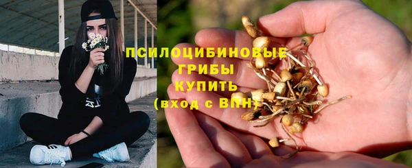спайс Верея