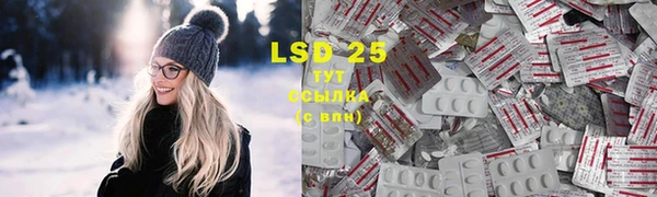 стаф Володарск
