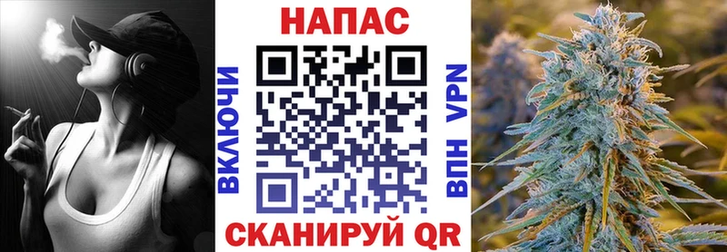 Шишки марихуана семена  магазин продажи наркотиков  Любим 